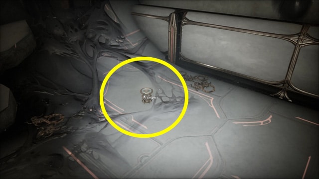Warframe screenshot of a small golden amulet resting on the ground