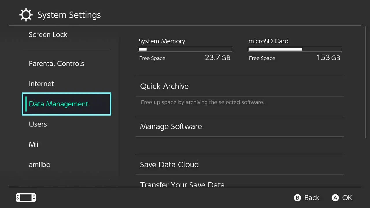 A screen with categories listed on the left and Nintendo Switch storage space listed on the right