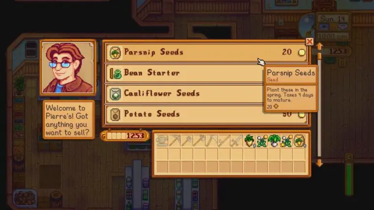 casino stardew valley tips