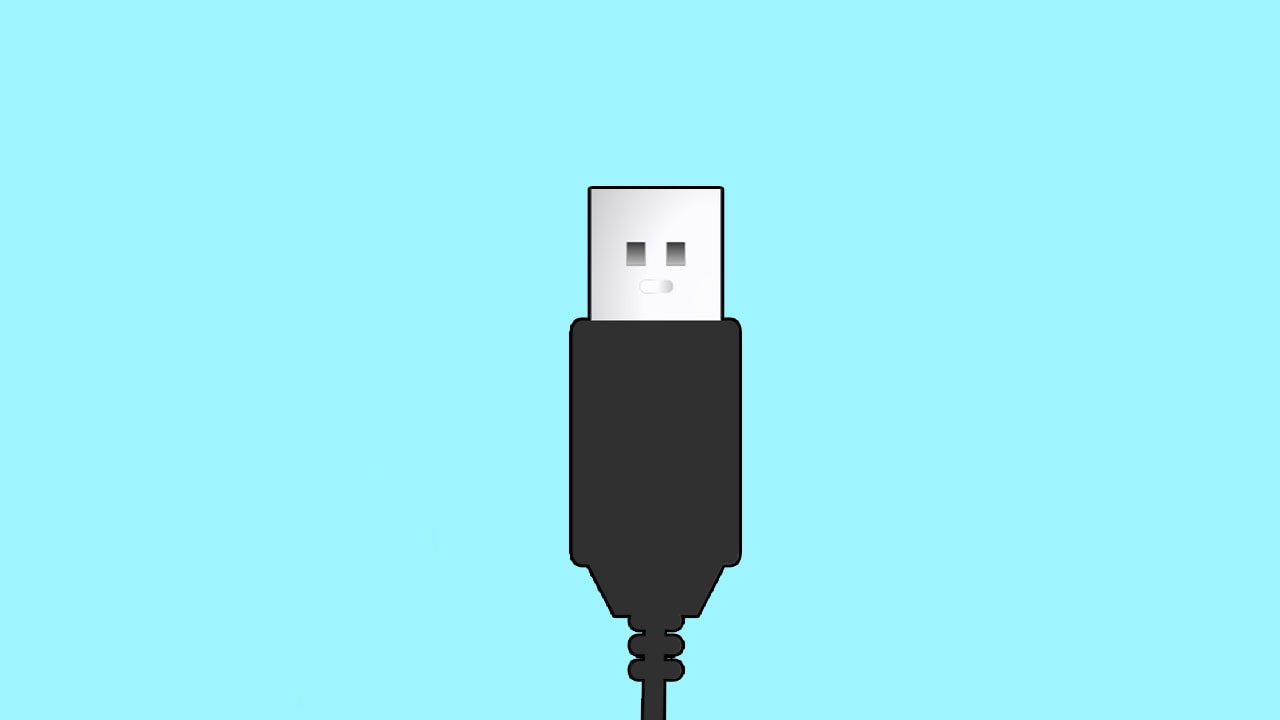 Baby blue background with black cable and silver usb connecter at the center