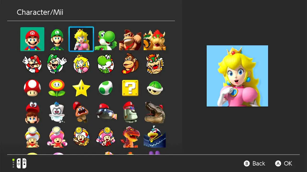 Nintendo Switch icon page full of Nintendo Switch profile icons from various Nintendo series wit ha large image of hte selected icon on the right of the screen and the icon list to the left