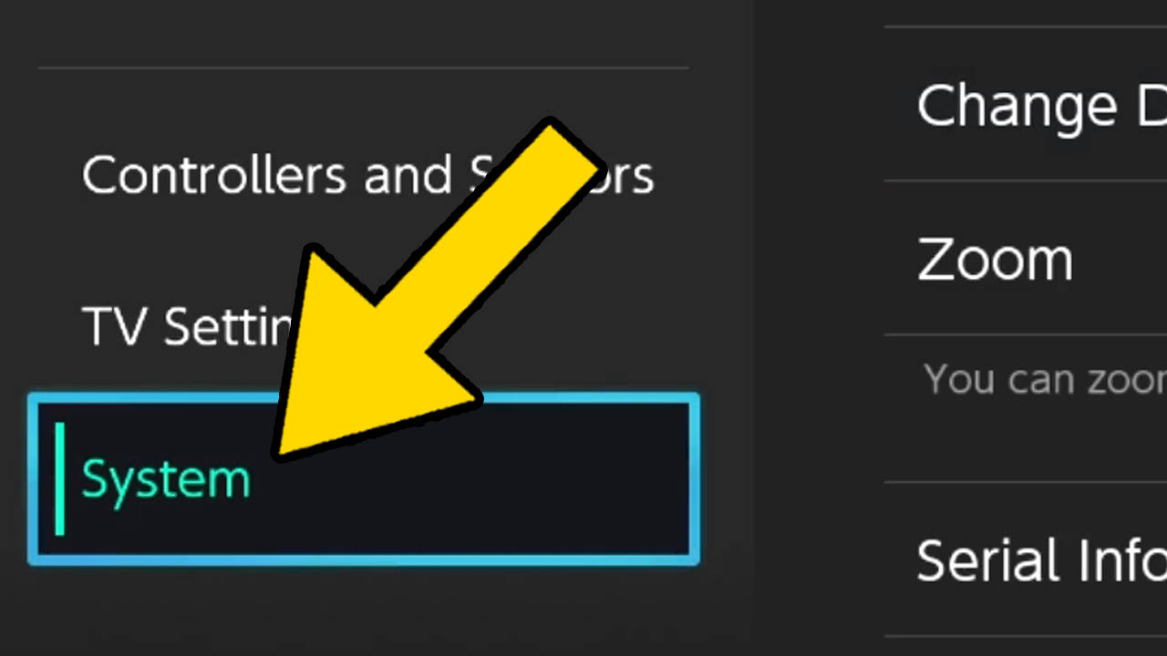 Nintendo Switch system menu zoomed in with an arrow pointing at one of the options