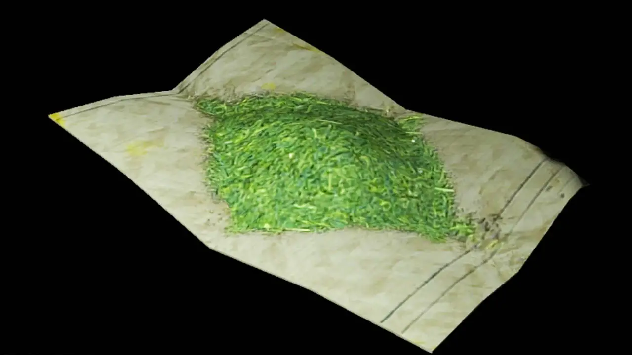 Green herb powder on a parchment (Resident Evil 1 Remake herb guide)