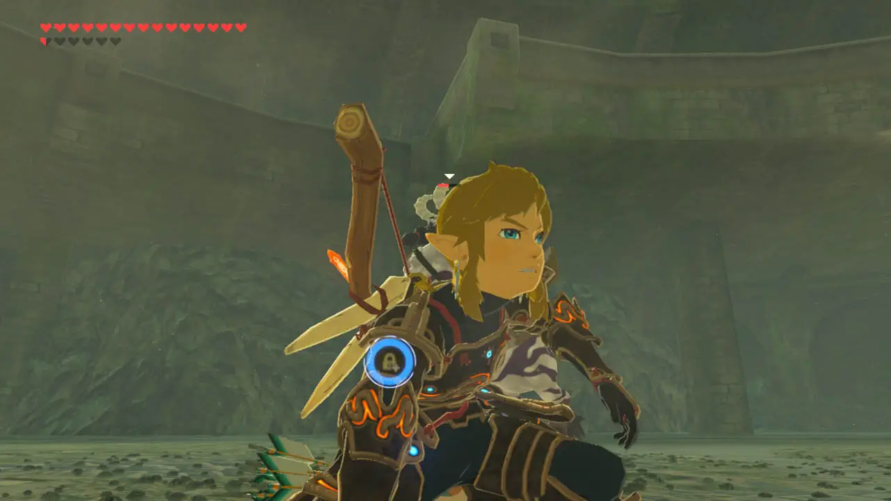Link kneeling (zelda breath of the wild screenshot)