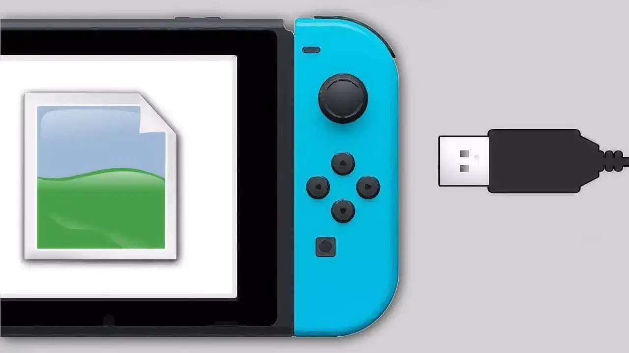 nintendo switch and usb cord